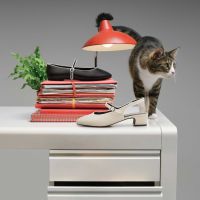 Terinspirasi Kucing, Bata Hadirkan Kenyamanan bagi Pekerja Urban dalam Koleksi Office Shoes-nya
