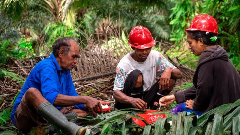 Perlindungan Pekerja Berkontribusi Positif ke Produktivitas Industri Sawit
