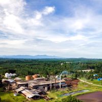 Indonesia Berpeluang Jadi Raja Biogas Sawit Dunia