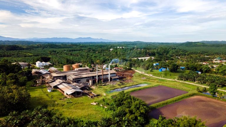 Indonesia Berpeluang Jadi Raja Biogas Sawit Dunia