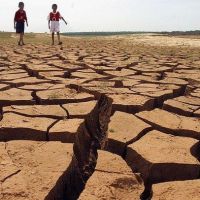 Apa Itu 'El Nino Godzilla' yang Disebut Jadi Pemicu Karhutla di Indonesia?