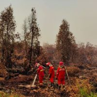 Asap Karhutla Kalimantan Kian Meluas, Penerbangan Terganggu dan Kasus ISPA Melonjak