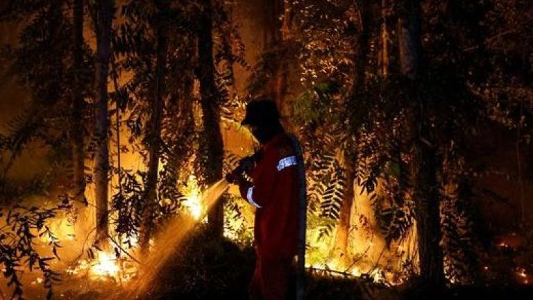 Polisi Gerak Cepat Tangani Karhutla Kalimantan, Boni Hargens: Kinerja Kapolri Perkuat Pemerintah Prabowo-Gibran