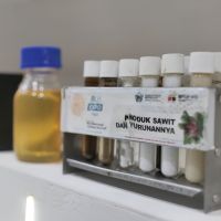 Sawit Dinilai Berpotensi Penuhi 60% Kebutuhan Minyak Nabati Dunia pada 2050