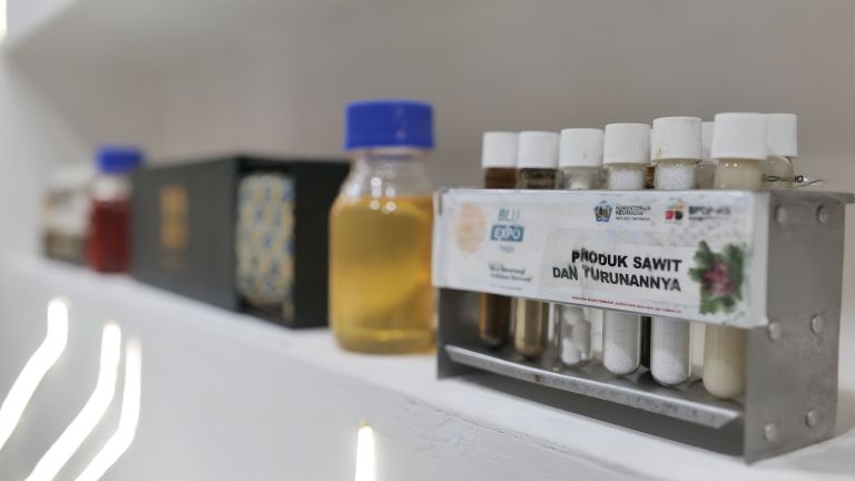 Sawit Dinilai Berpotensi Penuhi 60% Kebutuhan Minyak Nabati Dunia pada 2050