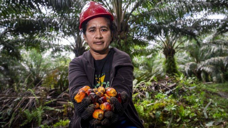 Komitmen Industri Kelapa Sawit Lindungi Perempuan Pekerja