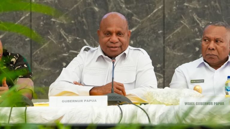 Cegah Karhutla Meluas, Gubernur Papua Minta Kepala Daerah Siaga!