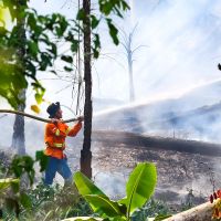 Mengapa Api di Lahan Gambut Bisa Menyala Kembali Meski Sudah Padam?