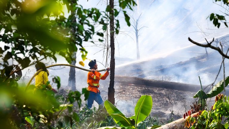 Asap Karhutla Kalimantan Kian Meluas, Penerbangan Terganggu dan Kasus ISPA Melonjak