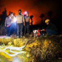 Greenpeace Kritik Kebijakan Pemerintah soal Karhutla, Soroti Izin Konsesi dan Pengawasan