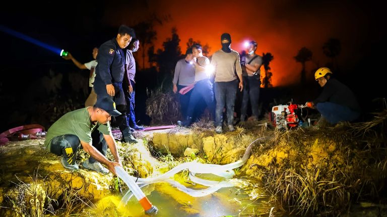 Greenpeace Kritik Kebijakan Pemerintah soal Karhutla, Soroti Izin Konsesi dan Pengawasan