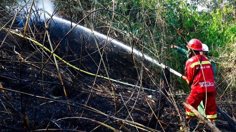 Bilang Asap Kebakaran Hutan Enggak Punya KTP, Raja Juli  Kena Ceramah Anas Urbaningrum:  Tidak Perlu Penjelasan Itu, Fokus ke Titik Api!
