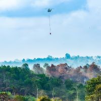 Anak Buah Prabowo yang Ngomong: Karhutla Terjadi Gegara Dibakar!