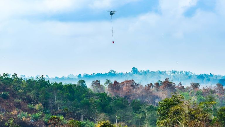 Anak Buah Prabowo yang Ngomong: Karhutla Terjadi Gegara Dibakar!