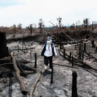 Semua Pihak Diminta Siap-Siap: Bulan Ini Puncak dari Karhutla!