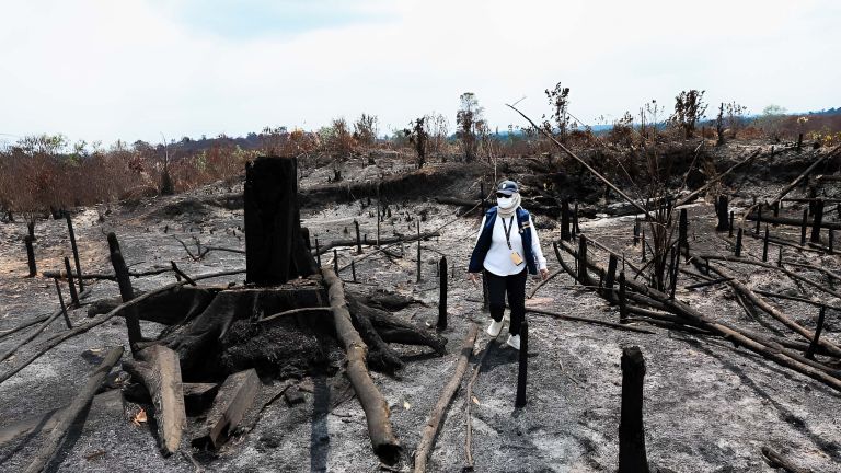 Semua Pihak Diminta Siap-Siap: Bulan Ini Puncak dari Karhutla!