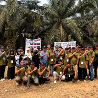 AKPY Bersama BPDP dan Ditjenbun Bekali 115 Pekebun Bengkulu Selatan Teknik Panen Tepat