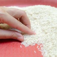 Beras 5 Kg Mulai Langka, Pakar IPB Ungkap Dampaknya bagi Konsumen