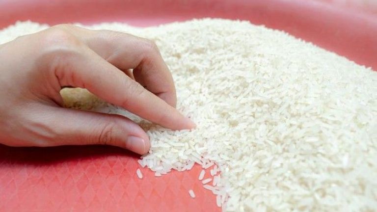 Beras 5 Kg Mulai Langka, Pakar IPB Ungkap Dampaknya bagi Konsumen