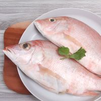 Jangan Asal Makan, Ikan Kakap Bisa Berbahaya dalam Kondisi Ini