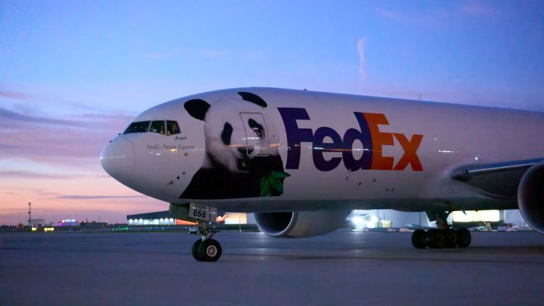 FedEx Panda Express Sukses Terbangkan Dua Panda Raksasa dari Tiongkok ke Amerika Serikat