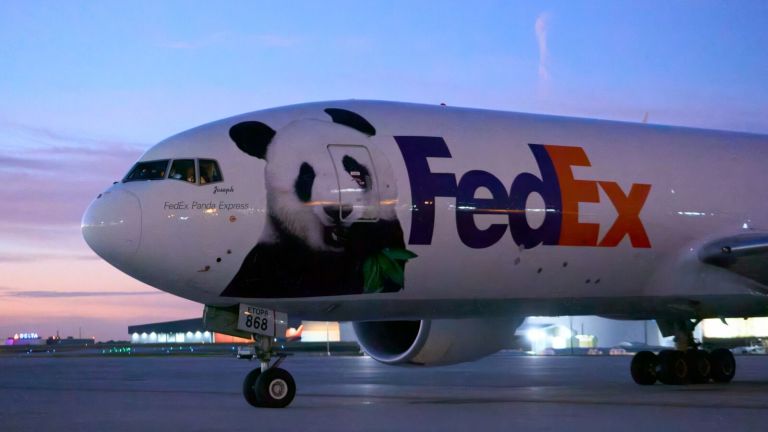 FedEx Terbangkan Dua Panda dari Tiongkok ke Amerika Serikat