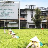 Teh Kahuripan Hadirkan Kemasan Pouch 250 Gram, Bidik Kebutuhan Teh Volume Besar