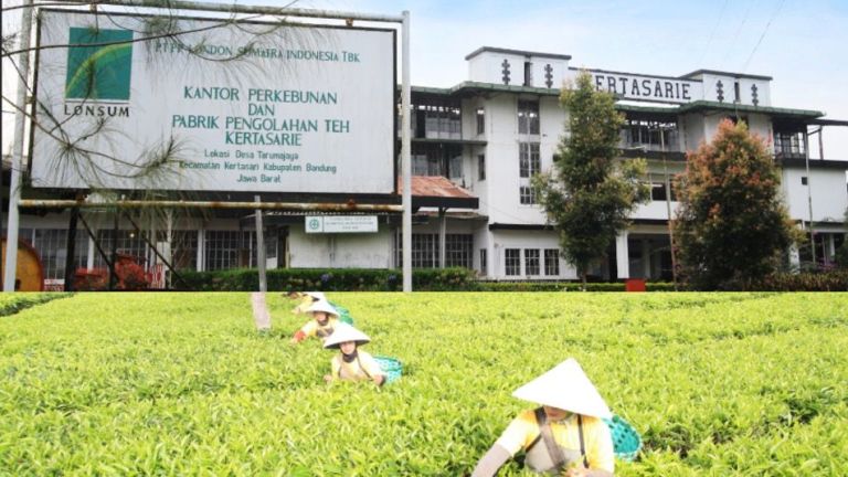 Teh Kahuripan Hadirkan Kemasan Pouch 250 Gram, Bidik Kebutuhan Teh Volume Besar