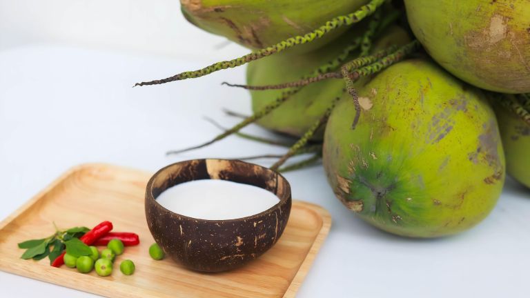 Tetra Pak Hadirkan Solusi Pengolahan dan Pengemasan Terintegrasi Produk Kelapa dalam World Coconut Day 2026