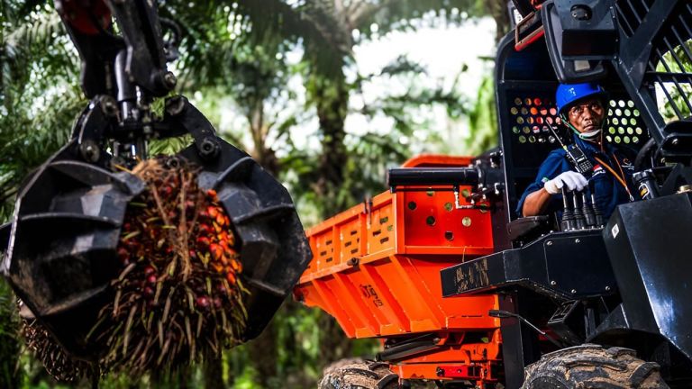 PT Teladan Prima Agro Tbk Bagikan Dividen Interim Rp258,93 Miliar