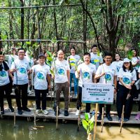 ZTE Tanam 300 Bibit Mangrove di Kawasan Ekowisata Pantai Indah Kapuk (PIK)