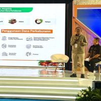 BPDP Pamerkan Produk Kreatif Berbasis Sawit hingga Kakao di INACRAFT October 2026