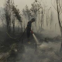 Mengapa Karhutla di Kalimantan dan Sumatera Sulit Dipadamkan?