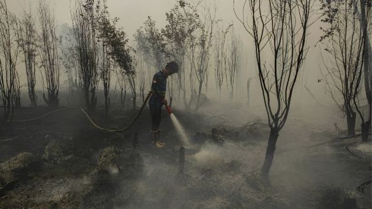 Mengapa Karhutla di Kalimantan dan Sumatera Sulit Dipadamkan?