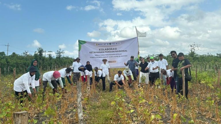 Petani dan Industri Kolaborasi Dorong Keberlanjutan Kedelai Lokal