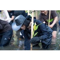LindungiHutan dan Tamara Dai Tanam 100 Bibit Mangrove di PIK untuk Jaga Ekosistem Pesisir