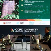 Reformasi Insentif Fiskal bagi Praktik yang Merusak Lingkungan, Bukan Mencari Talangan Baru