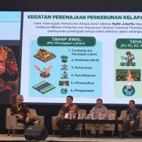 BPDP Salurkan Rp12,48 Triliun untuk Peremajaan Sawit Rakyat, Sasar Hampir 197 Ribu Pekebun