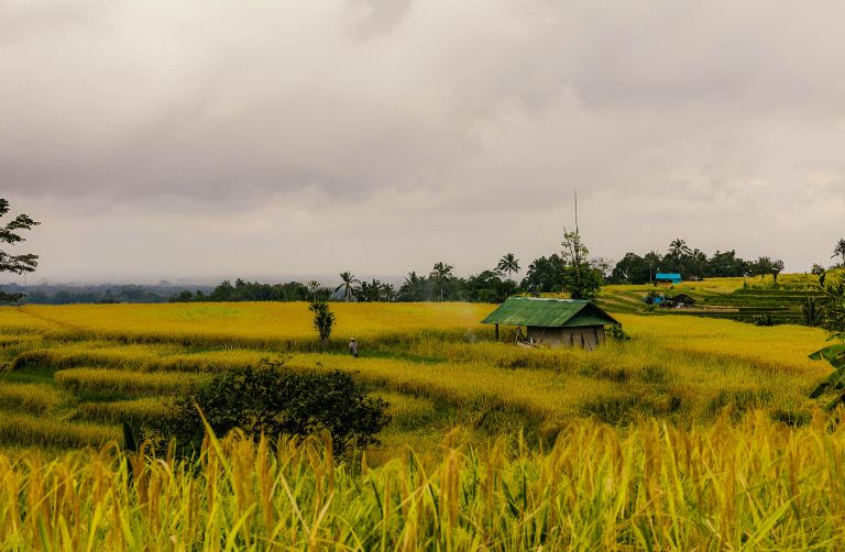 Gabungan Industri Pariwisata Indonesia (GIPI) mendorong pemerintah untuk terus meningkatkan kinerja sektor pariwisata di Tanah Air