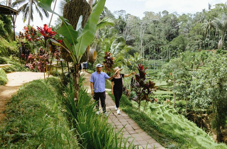 GIPI mengatakan para pelaku industri pariwisata, seperti perhotelan, taman wisata, spa, hingga penjualan tiket pesawat, menderita penurunan omzet yang signifikan pada enam bulan pertama tahun 2025 ini